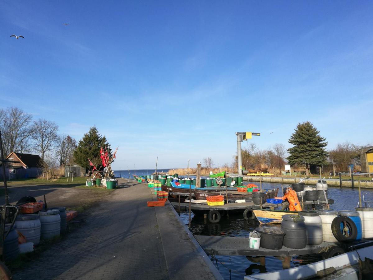 Fewo "Hafenblick" Ueckermünde Exterior foto