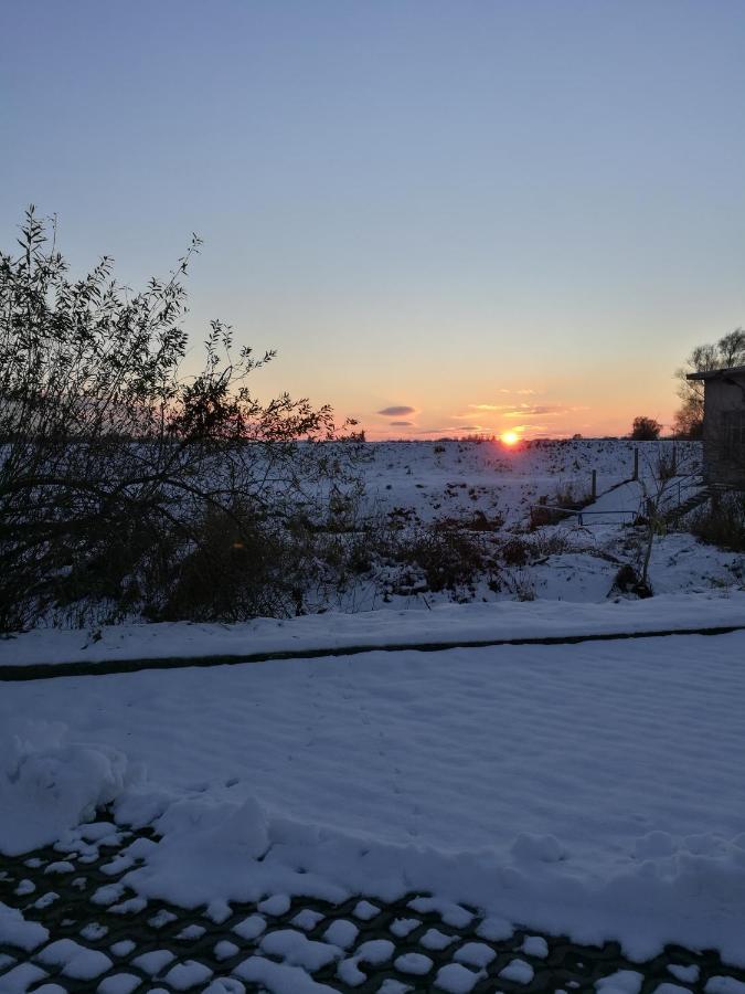 Fewo "Hafenblick" Ueckermünde Exterior foto