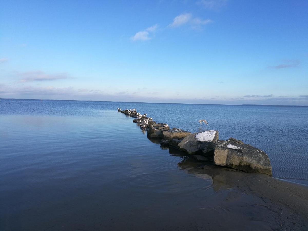 Fewo "Hafenblick" Ueckermünde Exterior foto