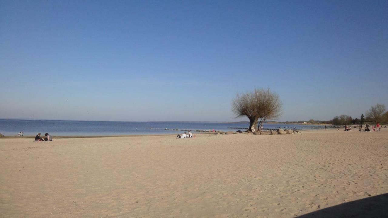 Fewo "Hafenblick" Ueckermünde Exterior foto